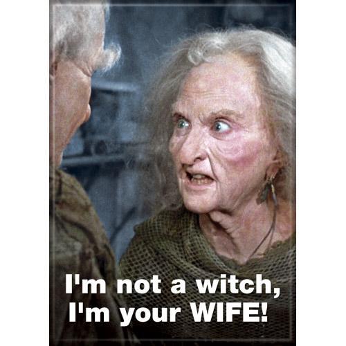 I'm Not a Witch Magnet